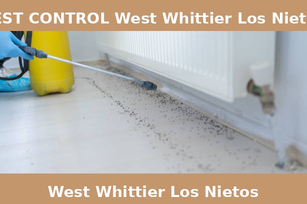PEST CONTROL West Whittier Los Nietos